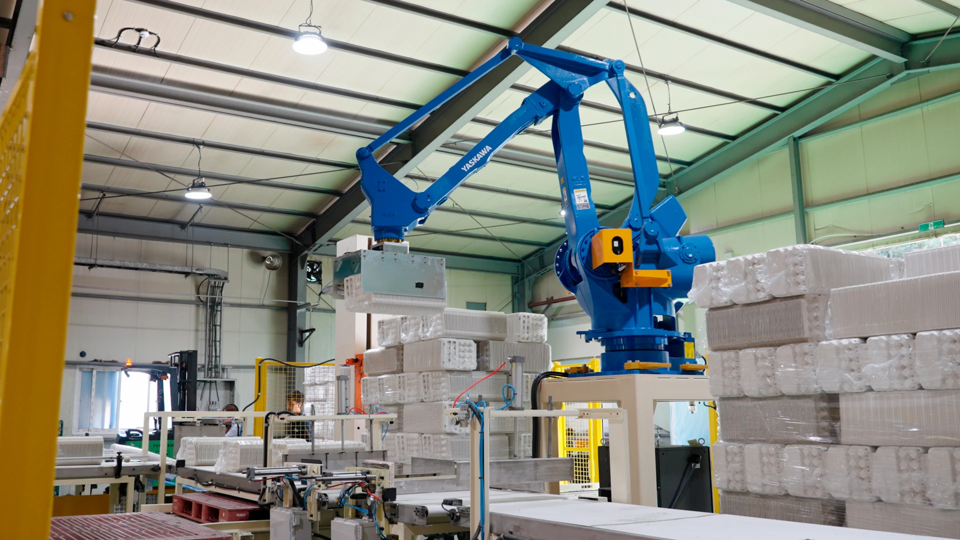 Automated carton handling at PN Greentec